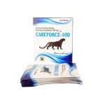 Careforce 10 fleta